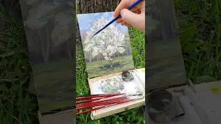 Oil painting from life  #pleinair #outdoorpainting #springpainting #landscapepainting #bloomingtree