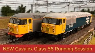 NEW Cavalex Class 56 Running Session