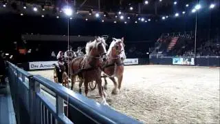 Equitana 2011 ! Show mit Kutschen , Wagonette und Mehrspännern ! Essen / März 2011