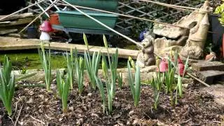 Salisbury UK Videos: Bands, events, wildlife and more videos from Salisbury UK.