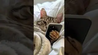 time to check My social mediayaya