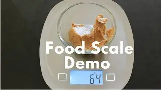 My #1 Weight Loss Tip + Food Scale Demo