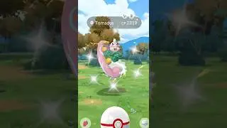 Catch Shiny Tornadus after multiple Raids #shorts #tornadus #shiny #catch #special #game #gotcha