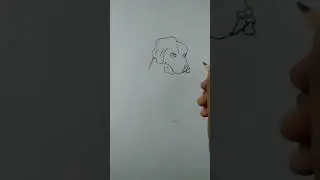 (Dog breed) drawing for kids