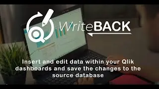Write-Back Tool - Qlik Sense