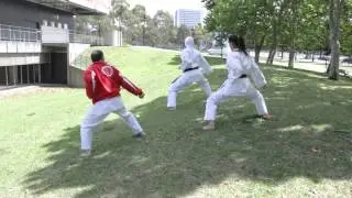 Budo for Peace at SKIF Sidney 2012