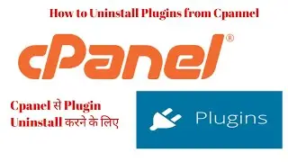 Uninstall Plugin form cPanel #how to uninstall file or plugin in Cpanel 2020.