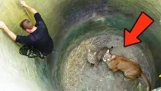 Risking His Life, He Climbed Into a Well to Save a Bobcat and Cougar&mdash;What Followed Stunned Everyone