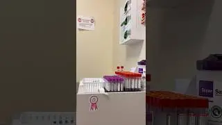 Пойдем по делам вместе #мини-блог