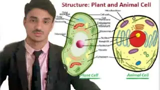Structural Advantage of plant and animal cells.@onlyforeducation.@dr.hafizsultanacademy