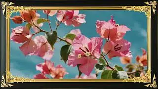 Vibrant Bougainvillea Floral Art for Your TV | 4K Frame TV Screensaver | Digital Frame Art Gallery