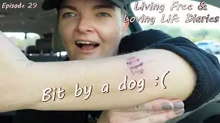 My intuition led me to get bit by a dog * Hiking South Mountain * Vlog * Video Diary