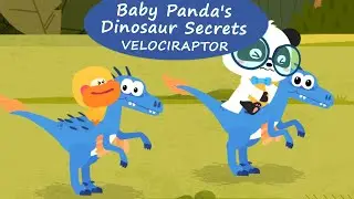Baby Panda's Dinosaur Secrets #5 - Meet the agile predator master Velociraptor | BabyBus Games