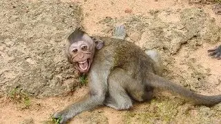 Cry Crying Until Convulsive! Polino Angry Ajouy fighting Baby So Cruelly! Poor Baby!