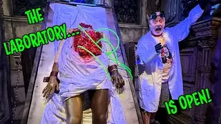 Покупки на Хэллоуин 2025: Prometheus Esoterica Oddities — жуткий оверлей на Хэллоуин!