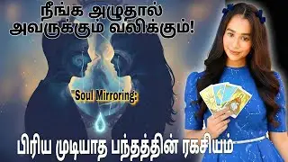 நீங்க படுற அதே துடிப்பு அவருக்கும் இருக்கா? - இது காதலா இல்ல 'Soul Mirroring'-ஆ?