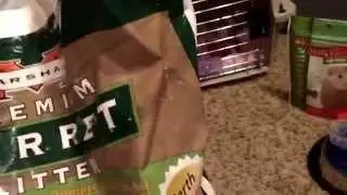 My ferret supplies!