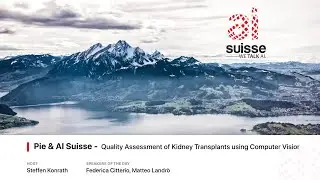 Quality Assessment of Kidney Transplants using Computer Vision