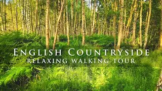 Relaxing Walk in this Beautiful Green English Woodland, join me