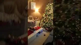 Christmas bomb #christmas #christmastree #merrychristmas #bimb #idkwhattoputhere