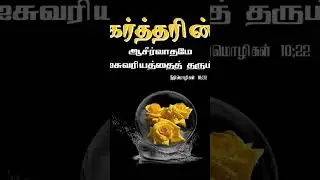 BIBLE VERSES TAMIL CHRISTIAN MESSAGE|PRAISE THE LORD #christianfaith #billygrahamprayer #tamilbible