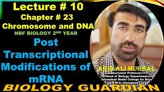 Post Transcriptional Modification of mRNA | Lecture 10 Ch 23 NBF Biology 12 By Abid Ali Mughal