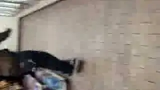 fear skate :D