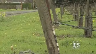 Wine Country Residents Say Big Wine Makers Aren't Paying Their Share For Water