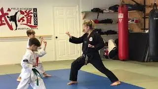 Childrens Taekwondo WHITE belt class #1
