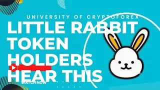 Little Rabbit Token Holders Hear This!