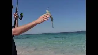 Local Perth Beach Fishing Fishing WA Series 2 Ep 12 Part 2