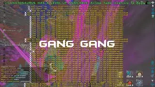 Megatribe Life - Meat farming | GANG GANG | Ark Official PvP