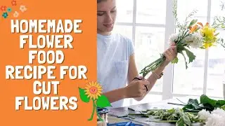 Homemade Flower Food Recipe for Cut Flowers
