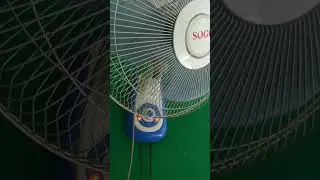 Wall fan Sogo #fan
