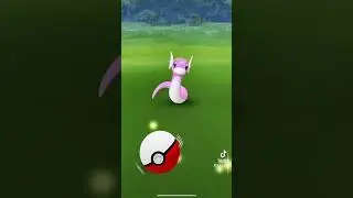 All The Shiny Dratini I Caught During Dratini Community Day Pok&eacute;mon Go