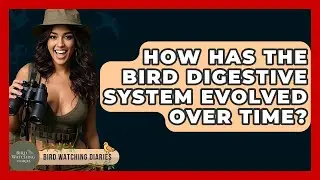 How Has The Bird Digestive System Evolved Over Time? - Bird Watching Diaries
