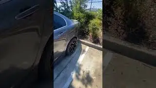BTR Stage 3 Cam 09 Pontiac G8 GT
