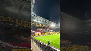 Die Legende aus Elbflorenz, der Verein mit den besten Fans 🖤💛 #dynamo #sgd #dynamodresden #choreo