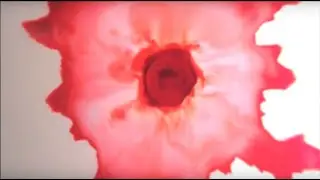 Fox Grin - Slow Motion (Official Music Video)