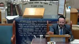 הרב אליהו פנחסי  •  כשרות רבנות או בד