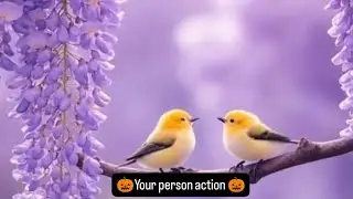 🎃Your person action🎃 #tarot #tarotreading #astrology #tamil #healing #twinflame #selflove #love 