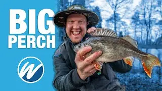 The Big Perch Challenge!