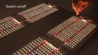 Winwell LED grow light 480W LM301H + CREE + LG UV LED quantum board led grow lamp