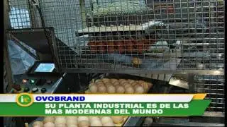 Qui&eacute;n es qui&eacute;n: Ovobrand