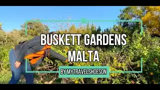 BUSKETT GARDENS, MALTA
