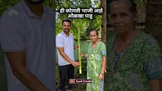 ही कोणती भाजी आहे ओळखा पाहू #vasai #farming #vasaifarming #sunildmello #marathi #marathivlogs