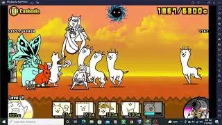 obs testing battle cats on bluestacks
