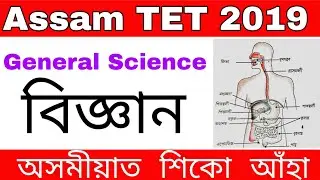 Assam TET 2019 General Science By KSK Educare