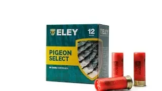 PIGEON SELECT