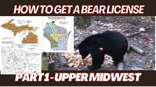 How to get a bear hunting license in Minnesota, Wisconsin and Michigan